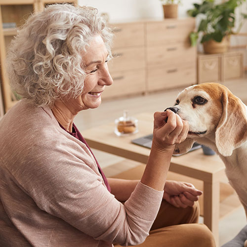 Thinking About a Senior Care Facility?